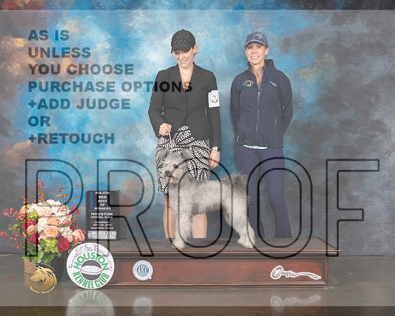 Pumik #10 Thurs BOW Major Judge Steve Keating-MMJ_0599-HOUSTON21-HR3
