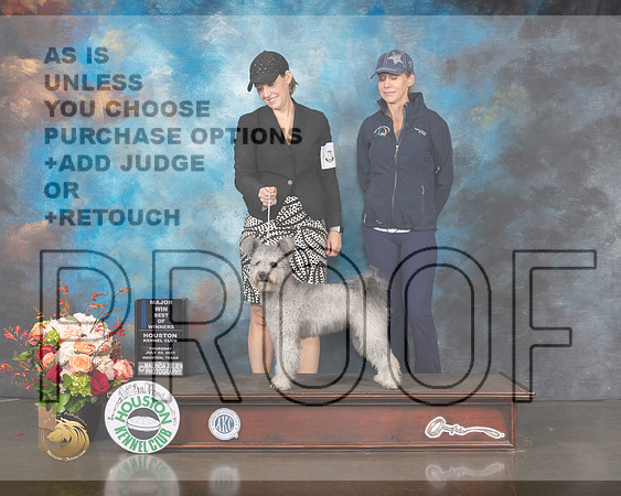 Pumik #10 Thurs BOW Major Judge Steve Keating-MMJ_0602-HOUSTON21-HR3