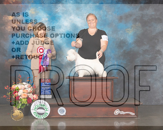 West Highland White Terrier #18 Thurs BOW BOS Judge Janet Parcel-MMJ_0586-HOUSTON21-HR3