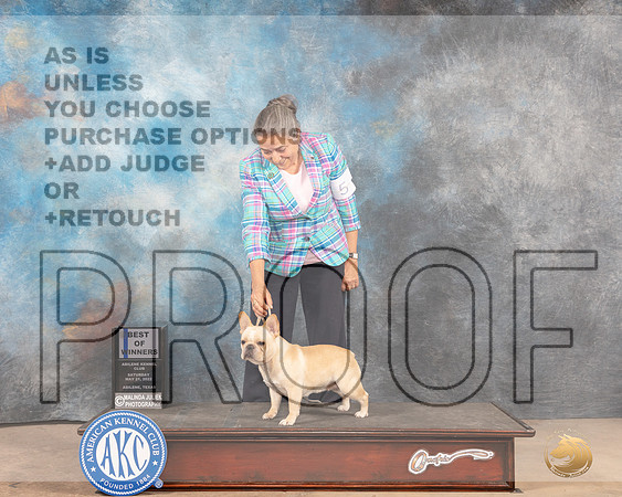 French Bulldog #18 Sat WBBOW Judge Gloria Kerr-MMJ_3992-Abilene2022-HR3