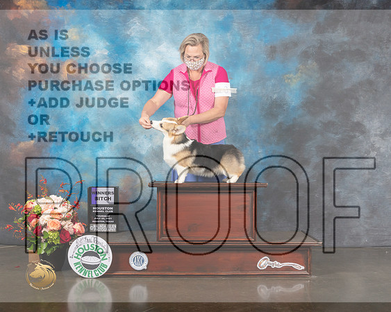 Pembroke Welsh Corgi #10 Thurs WB Judge Steve Keating-MMJ_0649-HOUSTON21-HR3
