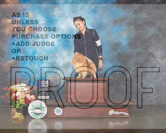 Pomeranian #27 Thurs WD Major Judge Raymond Filburn-MMJ_0607-HOUSTON21-HR3