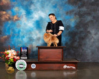 Pomeranian #8 Thurs BOW BOP Major Judge Raymond Filburn