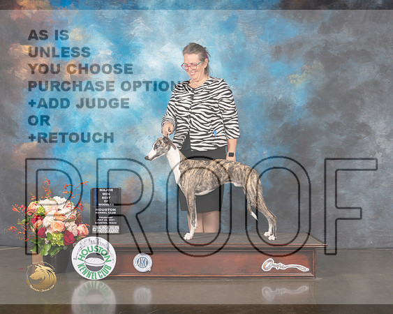 Whippet #19 Thurs WD BOW Major Judge Linda Scanlon-MMJ_0662-HOUSTON21-HR3