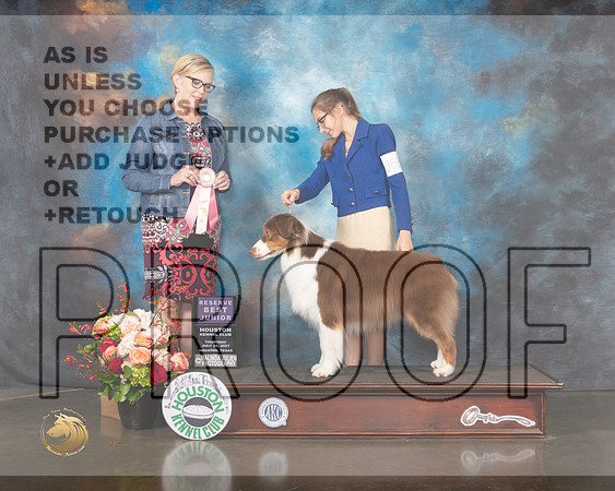 Australian Shepherd #J600 Thurs RBJ Judge Krista Hunt-MMJ_0705-HOUSTON21-HR3