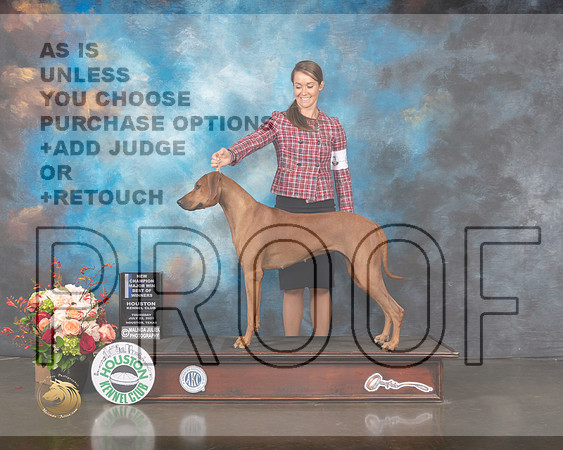 Rhodesian Ridgeback #38 Thurs BOW NCH Major Judge Linda Scanlon-MMJ_0677-HOUSTON21-HR3