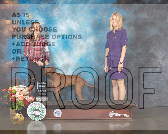 Rhodesian Ridgeback #38 Thurs BOW NCH Major Judge Linda Scanlon-MMJ_0679-HOUSTON21-HR3