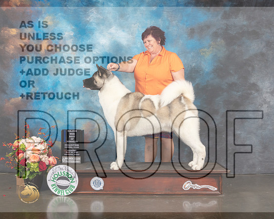 Akita #7 Thurs WD BOW Major Judge Joseph Gregory R-MMJ_0790-HOUSTON21-HR3