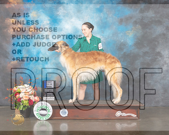 Borzoi #33 Thurs 12 18 Class Winner Judge Linda Scanlon-MMJ_0800-HOUSTON21-HR3