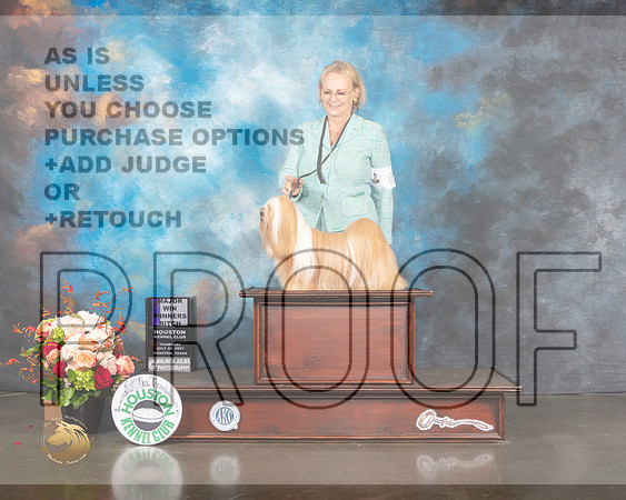 Lhasa Apso #10 Thurs WB Major Judge Molly Martin-MMJ_0773-HOUSTON21-HR3