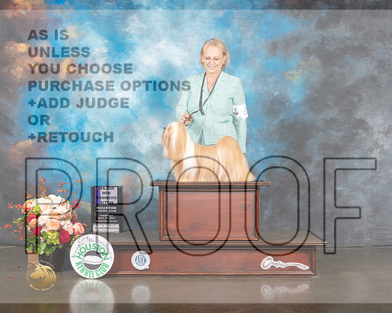 Lhasa Apso #10 Thurs WB Major Judge Molly Martin-MMJ_0772-HOUSTON21-HR3