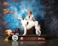 Borzoi #8 Thurs NCH BOW Major Judge Linda Scanlon