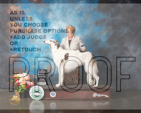 Borzoi #8 Thurs NCH BOW Major Judge Linda Scanlon-MMJ_0850-HOUSTON21-HR3