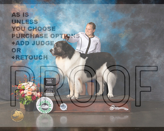 Pyrenean Mastiff #9 Thurs Open G3 Judge Molly Martin-MMJ_0853-HOUSTON21-HR3