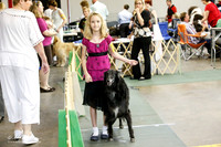 Juniors Sat S1 Ring
