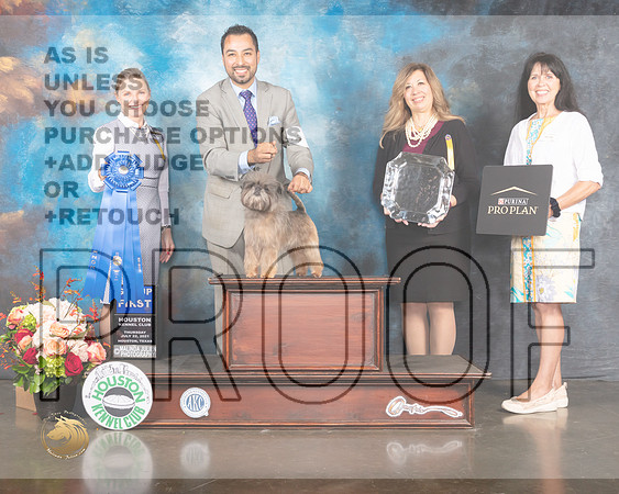 Affenpinscher #5 Thur G1 Judge Evalyn Gregory-MMJ_0935-HOUSTON21-HR3