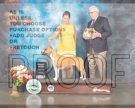 American Staffordshire Terrier #10 Thurs G3 Judge Randy Garren-MMJ_0909-HOUSTON21-HR3