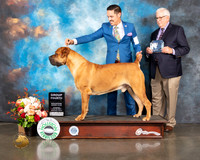 Boerbel #9 Thur G4 Judge Peggy Beisel McIllwaine
