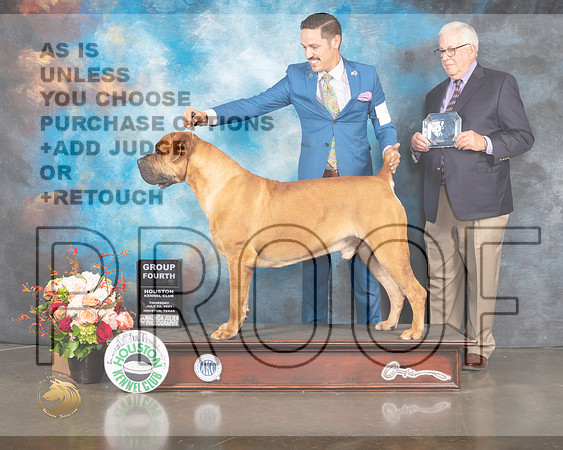 Boerbel #9 Thur G4 Judge Peggy Beisel McIllwaine-MMJ_0995-HOUSTON21-HR3