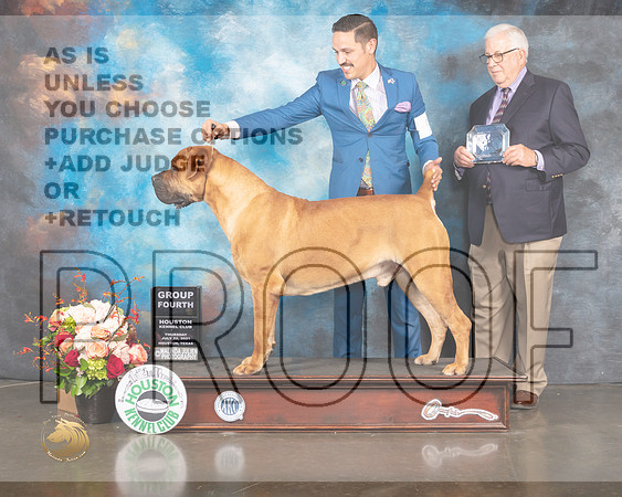 Boerbel #9 Thur G4 Judge Peggy Beisel McIllwaine-MMJ_0996-HOUSTON21-HR3