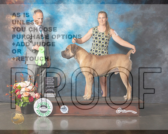 Boerboel #5 Thurs OH G2 Judge David Haddock-MMJ_0886-HOUSTON21-HR3