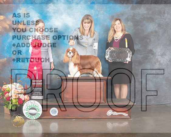 Cavalier King Charles Spaniel #17 Thu G2 Judge Evalyn Gregory-MMJ_0938-HOUSTON21-HR3