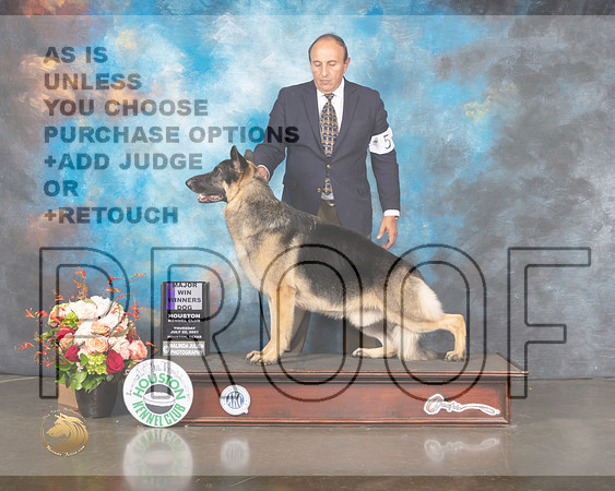 German Shepherd Dog #5 Thur WD Judge Linda Scanlon-MMJ_0970-HOUSTON21-HR3