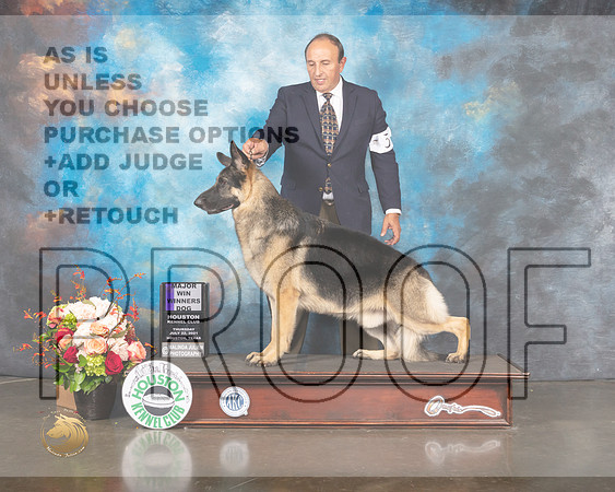 German Shepherd Dog #5 Thur WD Judge Linda Scanlon-MMJ_0972-HOUSTON21-HR3
