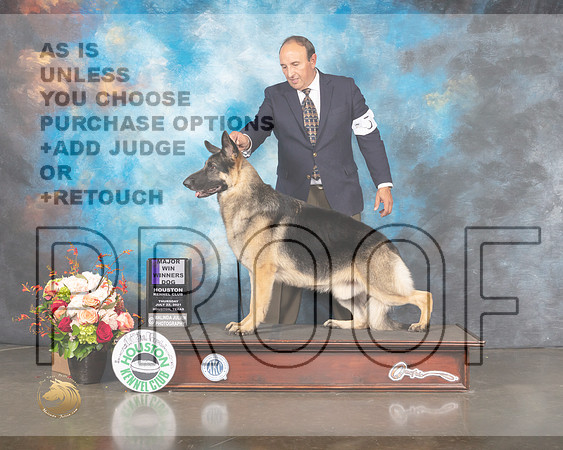 German Shepherd Dog #5 Thur WD Judge Linda Scanlon-MMJ_0976-HOUSTON21-HR3