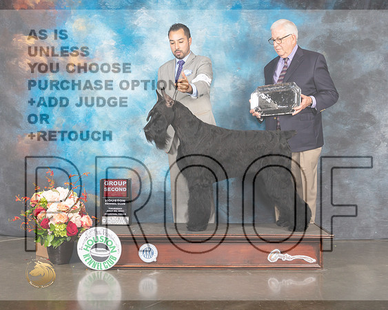 Giant Schnauzer #9 Thur G2 Judge Peggy Beisel McIlwaine-MMJ_0993-HOUSTON21-HR3