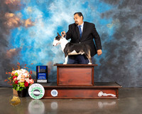 Miniature Bull Terrier #9 Thur BOW BOB Judge Peggy Beisel McIlwaine