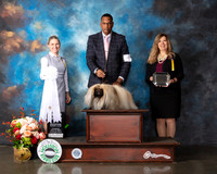 Pekingese #5 Thur G4 Judge Evalyn Gregory