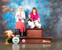 Tibetan Spaniel #17 Thu BOW Judge Molly Martin