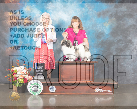 Tibetan Spaniel #17 Thu BOW Judge Molly Martin-MMJ_0964-HOUSTON21-HR3