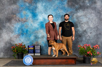 Staffordshire Bull Terrier #7 Sat BOBGCH Judge Karen McFarlane