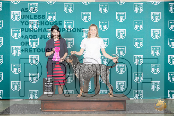 Bluetick Coonhound #102 Wed BOB Judge Diana Brumbaugh__JP_0615_Premier_2024_HR3