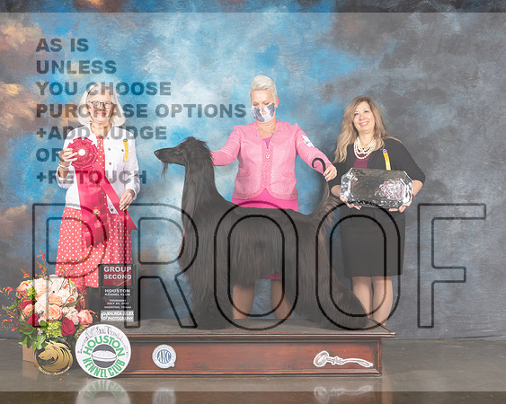 Afghan Hound #5 Thur G2 Judge Molly Martin-MMJ_1086-HOUSTON21-HR3