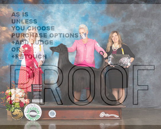 Afghan Hound #5 Thur G2 Judge Molly Martin-MMJ_1090-HOUSTON21-HR3