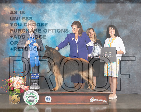 Belgian Tervuren #5 Thur G1 Judge Sharon Newcomb-MMJ_1025-HOUSTON21-HR3