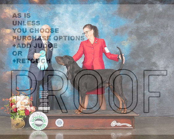Bloodhound #7 Thur OHBIS Judge Joe Gregory-MMJ_1029-HOUSTON21-HR3