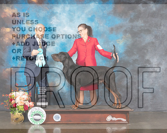 Bloodhound #7 Thur OHBIS Judge Joe Gregory-MMJ_1030-HOUSTON21-HR3