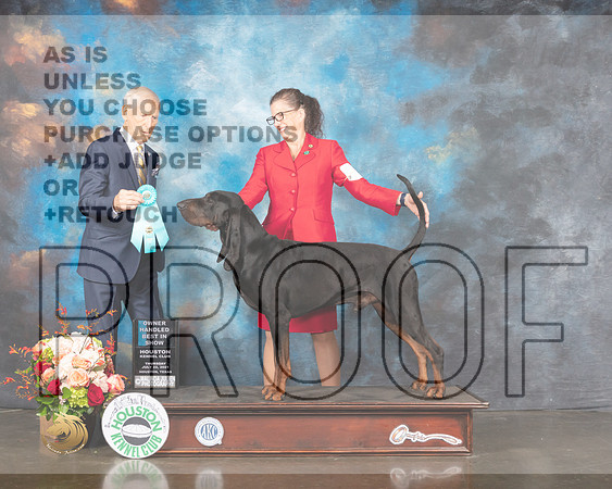 Bloodhound #7 Thur OHBIS Judge Joe Gregory-MMJ_1031-HOUSTON21-HR3