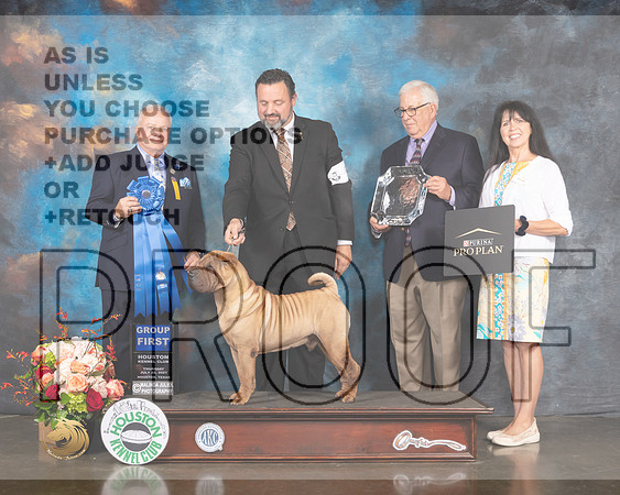 Chinese Shar Pei #5 Thur G1 Judge Dennis McCoy-MMJ_1041-HOUSTON21-HR3