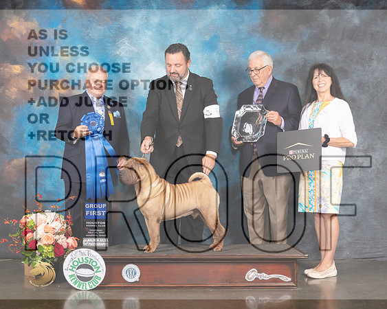 Chinese Shar Pei #5 Thur G1 Judge Dennis McCoy-MMJ_1044-HOUSTON21-HR3