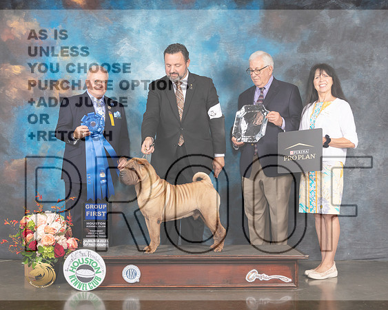 Chinese Shar Pei #5 Thur G1 Judge Dennis McCoy-MMJ_1045-HOUSTON21-HR3