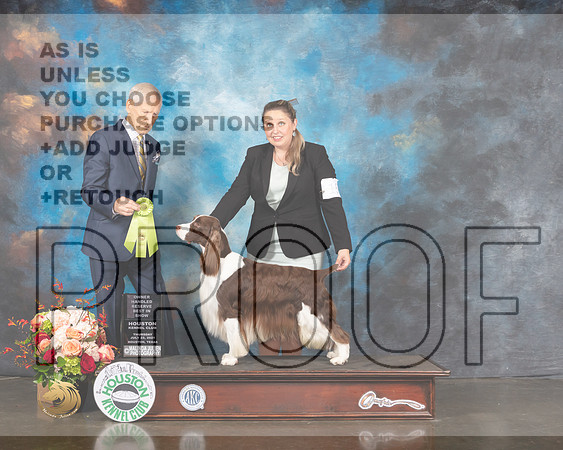 English Springer Spaniel #15 Thur OHRBIS Judge Joe Gregory-MMJ_1036-HOUSTON21-HR3