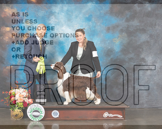 English Springer Spaniel #15 Thur OHRBIS Judge Joe Gregory-MMJ_1035-HOUSTON21-HR3