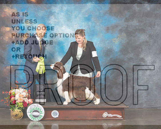 English Springer Spaniel #15 Thur OHRBIS Judge Joe Gregory-MMJ_1038-HOUSTON21-HR3