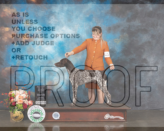 German Shorthaired Pointer #27 Thur WDBOW Judge Molly Martin-MMJ_1062-HOUSTON21-HR3