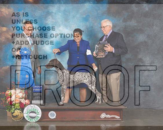 German Shorthaired Pointer #30 Thur G1 Judge David Haddock-MMJ_1134-HOUSTON21-HR3